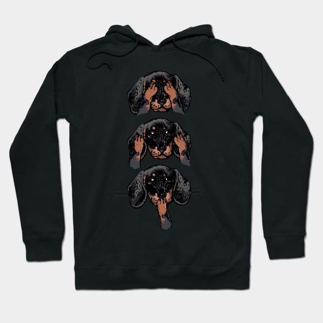 No Evil Dachshund Hoodie by huebucket